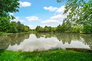 357 Lucille Ln, Schaumburg, IL 60194 - Photo 20