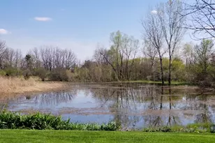 1088 N Claremont Dr N, Palatine, IL 60074 - Photo 24