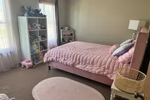 25644 Barrow Rd, Manhattan, IL 60442 - Photo 14