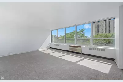 4800 S Chicago Beach Drive #408S, Chicago, IL 60615 - Photo 2