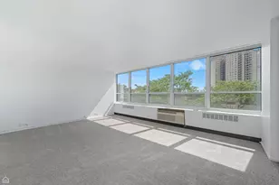 4800 S Chicago Beach Dr, Chicago, IL 60615 - Photo 2