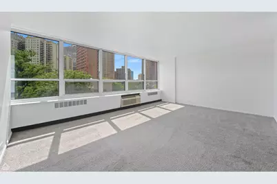 4800 S Chicago Beach Drive #408S, Chicago, IL 60615 - Photo 4