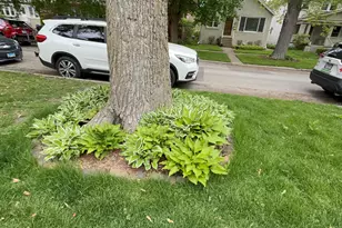 1918 Noyes St, Evanston, IL 60201 - Photo 10