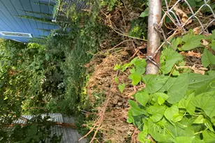 7537 S St Lawrence Ave, Chicago, IL 60619 - Photo 2