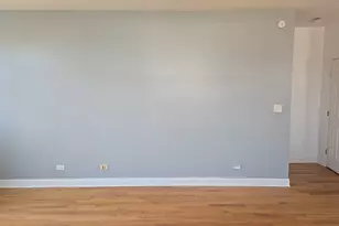 6736 S Merrill Ave, Chicago, IL 60649 - Photo 12