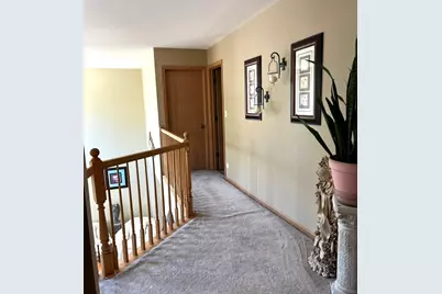 1003 Plaintain Drive, Joliet, IL 60431 - Photo 14