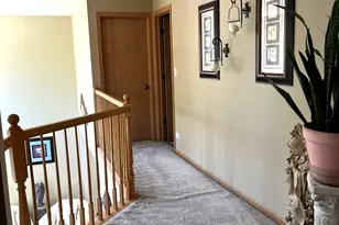 1003 Plaintain Dr, Joliet, IL 60431 - Photo 14