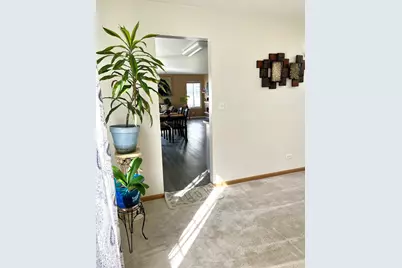 1003 Plaintain Drive, Joliet, IL 60431 - Photo 6