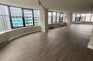 333 E Ontario St, Chicago, IL 60611 - Photo 4