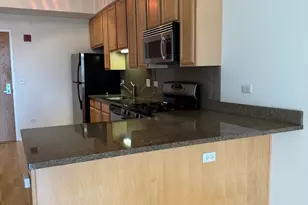 1250 S Indiana Ave, Chicago, IL 60605 - Photo 12