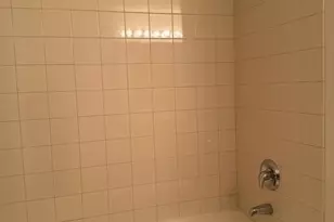 1250 S Indiana Ave, Chicago, IL 60605 - Photo 8