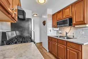 8245 W Belmont Ave, River Grove, IL 60171 - Photo 8