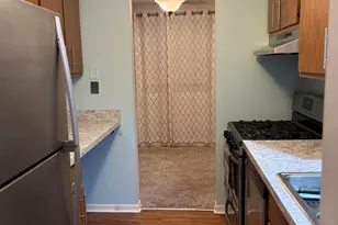 15805 Peggy Ln, Oak Forest, IL 60452 - Photo 8