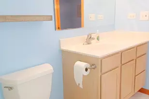 6810 Ridge Point Dr, Oak Forest, IL 60452 - Photo 30