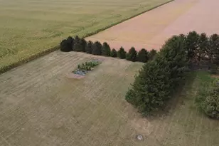 358 E State Route 116, Ashkum, IL 60911 - Photo 38