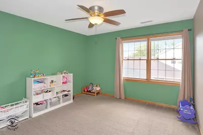 1019 James Pass, New Lenox, IL 60451 - Photo 18