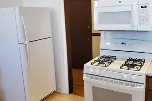 4751 S Forrestville Ave, Chicago, IL 60615 - Photo 14