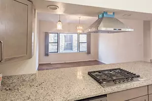 5219 S Greenwood Ave, Chicago, IL 60615 - Photo 10