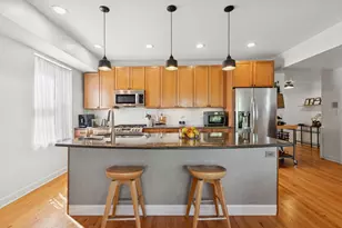 2458 N Linden Pl, Chicago, IL 60647 - Photo 10