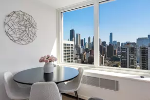 1455 N Sandburg Terrace, Chicago, IL 60610 - Photo 12