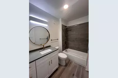 905 N Saint Louis Avenue, Chicago, IL 60651 - Photo 10