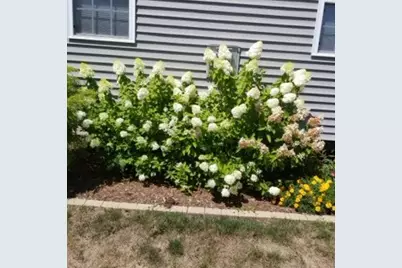 2404 Treeline Drive, Bloomington, IL 61704 - Photo 56