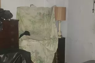 1059 E 80th St, Chicago, IL 60619 - Photo 16