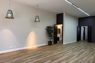 833 N California Ave, Chicago, IL 60622 - Photo 4