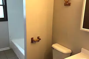 1 E 164th St, South Holland, IL 60473 - Photo 10