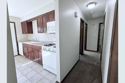 19828 Monterey Avenue, Lynwood, IL 60411 - Photo 8