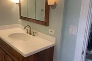 3 E Slade St, Palatine, IL 60067 - Photo 40