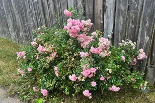 10534 S Wentworth Ave, Chicago, IL 60628 - Photo 4