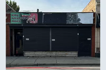 357 E 79th Street, Chicago, IL 60619 - Photo 1