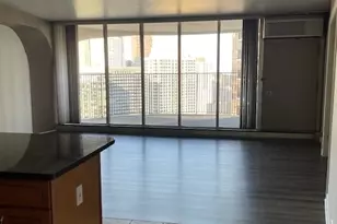 300 N State St, Chicago, IL 60654 - Photo 18