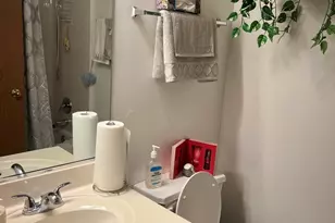 131 E 163rd St, South Holland, IL 60473 - Photo 12