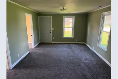 443 W Main Street, Braidwood, IL 60408 - Photo 4