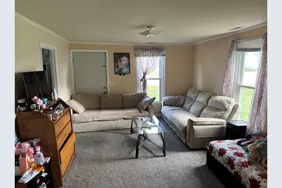443 W Main Street, Braidwood, IL 60408 - Photo 4