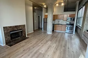 1516 S Wabash Ave, Chicago, IL 60605 - Photo 2