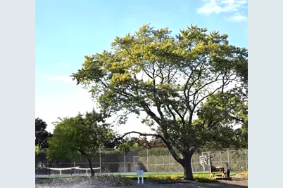 1117 S Old Wilke Road #206, Arlington Heights, IL 60005 - Photo 6