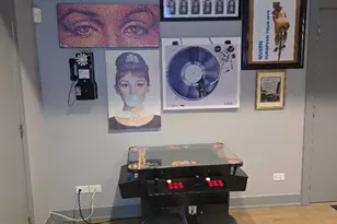 1050 W Dakin St, Chicago, IL 60613 - Photo 6