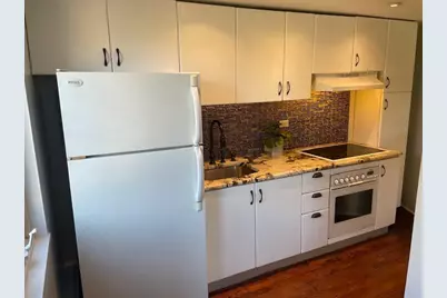 700 W Bittersweet Place #308, Chicago, IL 60613 - Photo 6