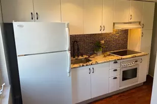 700 W Bittersweet Pl, Chicago, IL 60613 - Photo 6