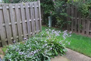 1855 Tanglewood Dr, Glenview, IL 60025 - Photo 32