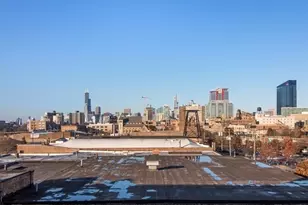 50 E 26th St, Chicago, IL 60616 - Photo 28