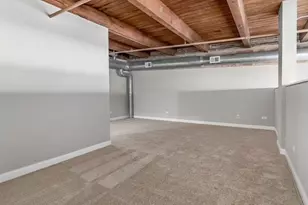 50 E 26th St, Chicago, IL 60616 - Photo 18