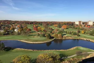 6420 Double Eagle Dr, Woodridge, IL 60517 - Photo 24