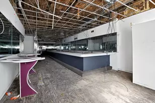 1114 W 51st St, Chicago, IL 60609 - Photo 14