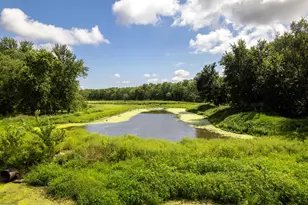 0 Banks Rd, Erie, IL 61250 - Photo 38