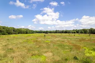 0 Banks Rd, Erie, IL 61250 - Photo 32