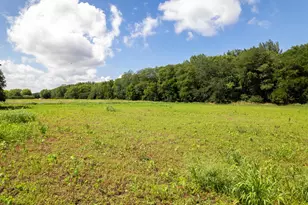 0 Banks Rd, Erie, IL 61250 - Photo 28